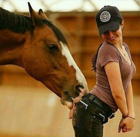 horse licks boobs